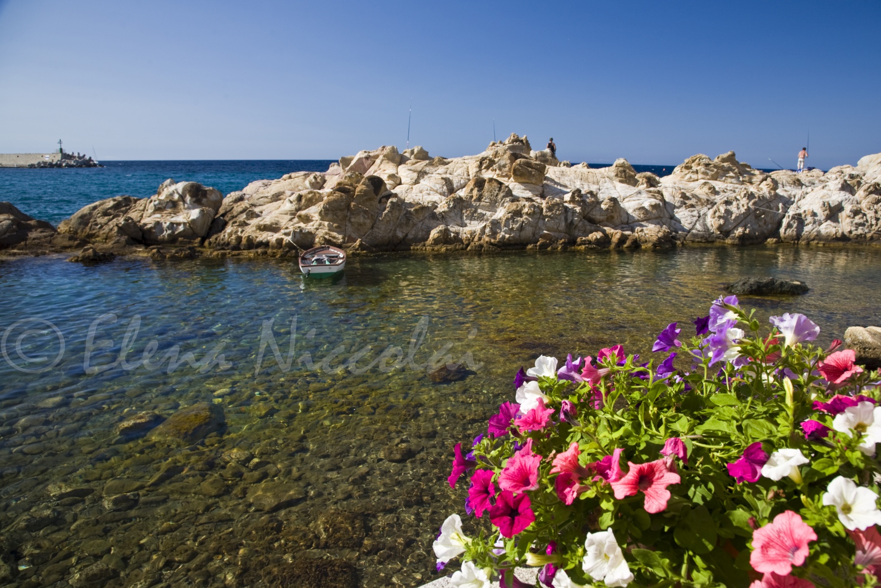 Appartamento sul mare a Marciana Marina